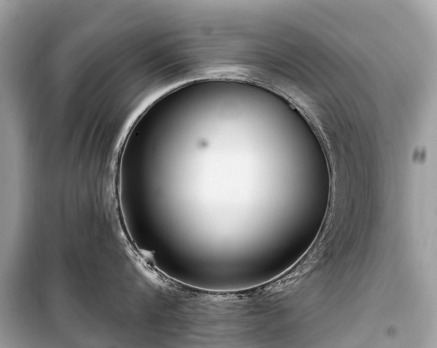 X0000099440816200805161132