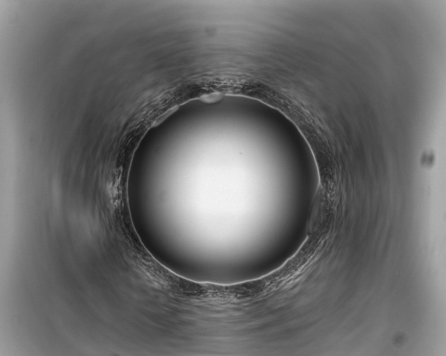 X0000099440818200805161131