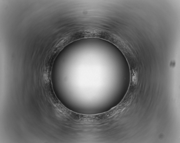 X0000099440819200805161131