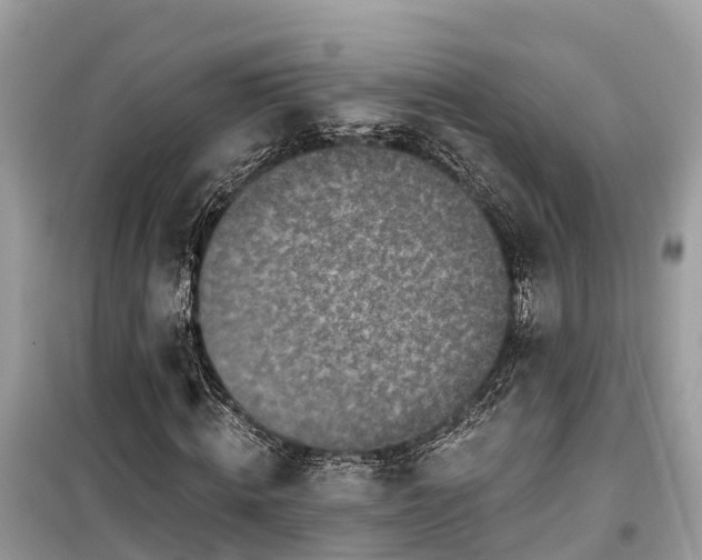 X0000099440820200805161131