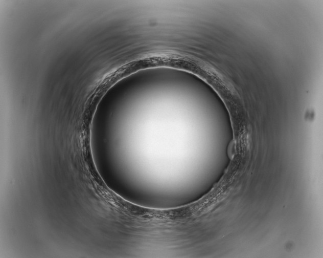 X0000099440822200805161131