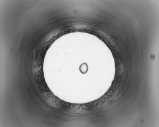 X0000099440824200805161131