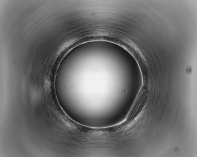X0000099440826200805161131