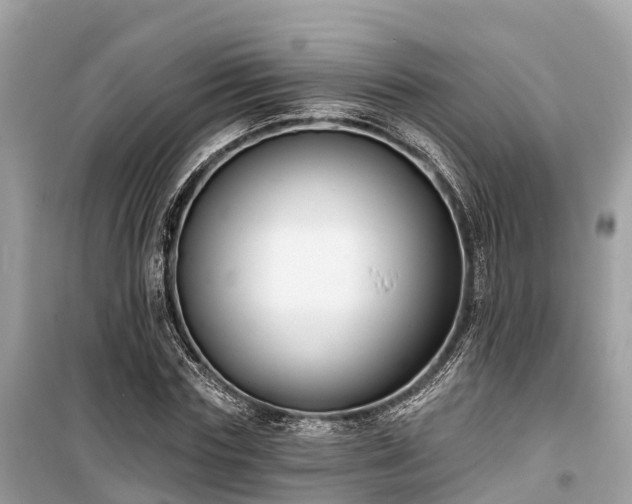 X0000099440827200805161131