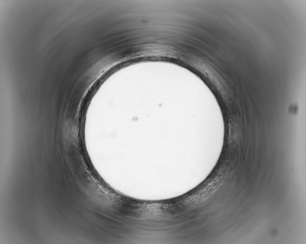 X0000099440828200805161131
