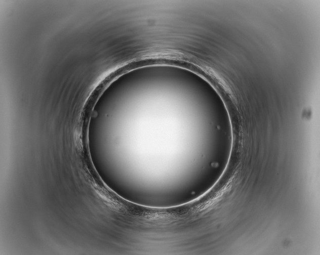 X0000099440830200805161131