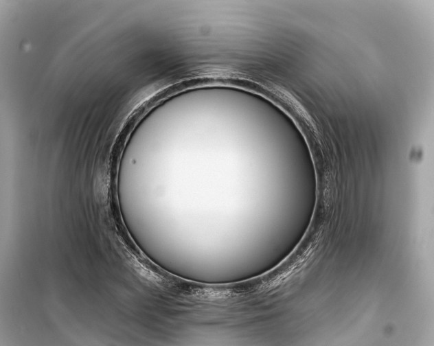 X0000099440831200805161131