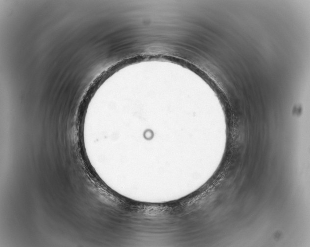 X0000099440832200805161131