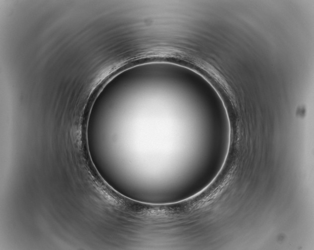 X0000099440834200805161132