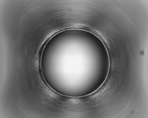 X0000099440835200805161132