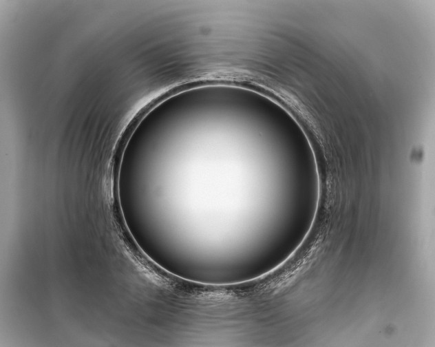 X0000099440838200805161132