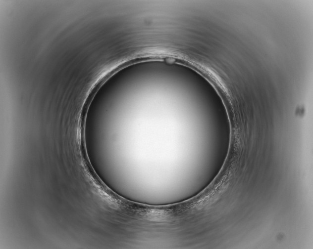 X0000099440839200805161132