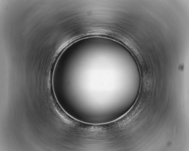 X0000099440842200805161132