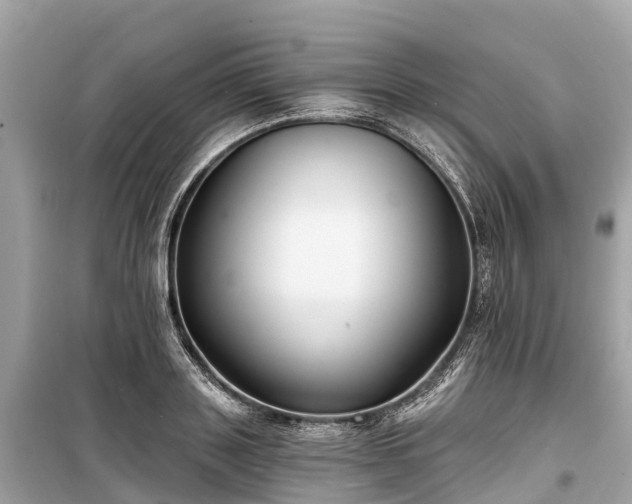 X0000099440843200805161132