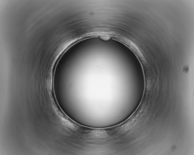 X0000099440844200805161132