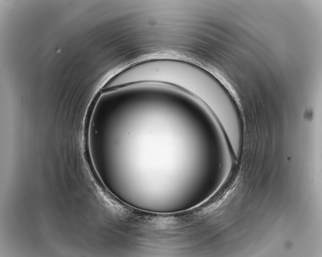 X0000099440845200805161132