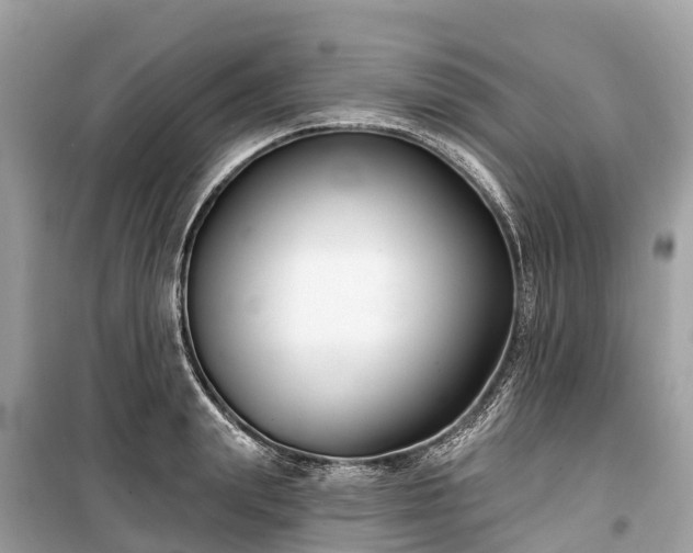 X0000099440847200805161132