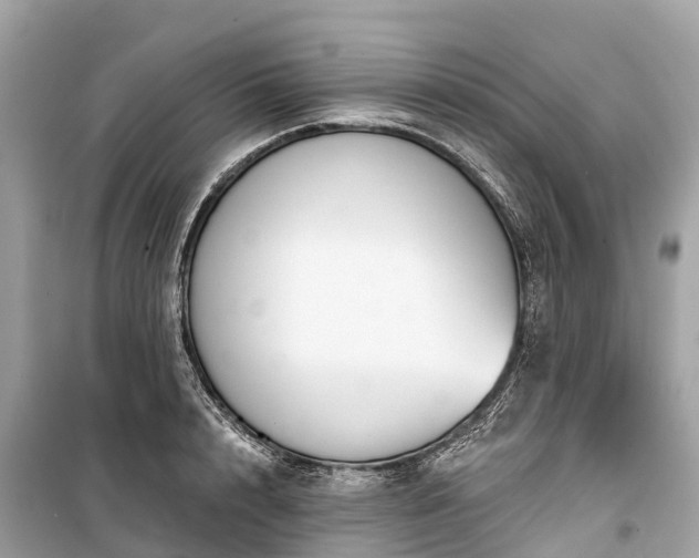 X0000099440848200805161132