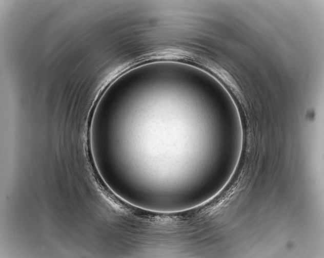 X0000099440850200805161132