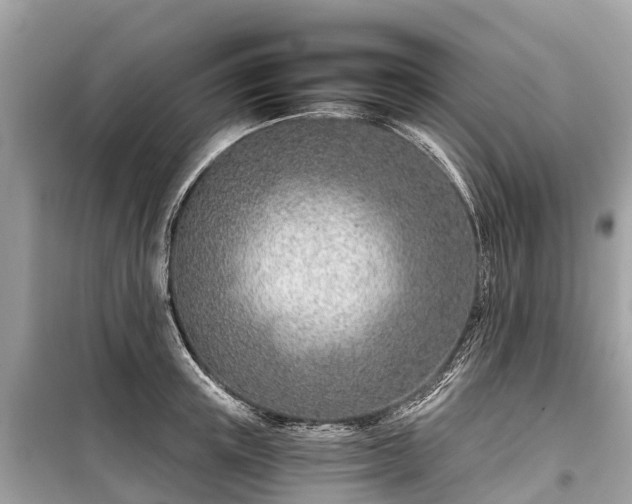 X0000099440851200805161132