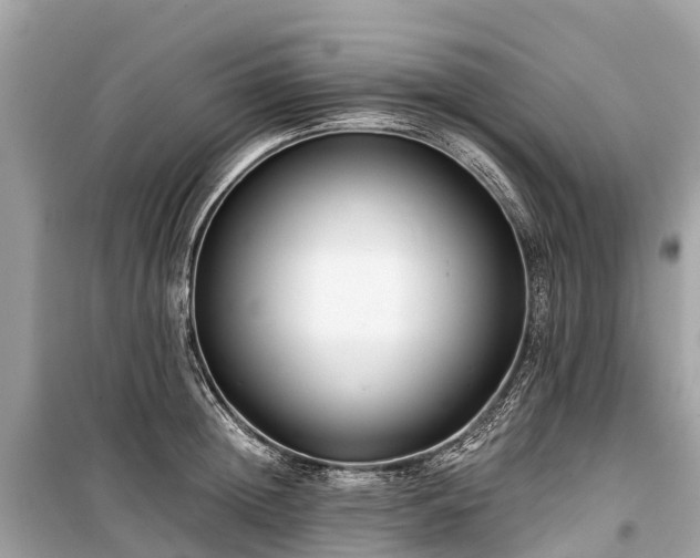 X0000099440852200805161132