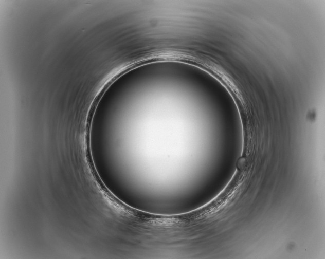 X0000099440853200805161132