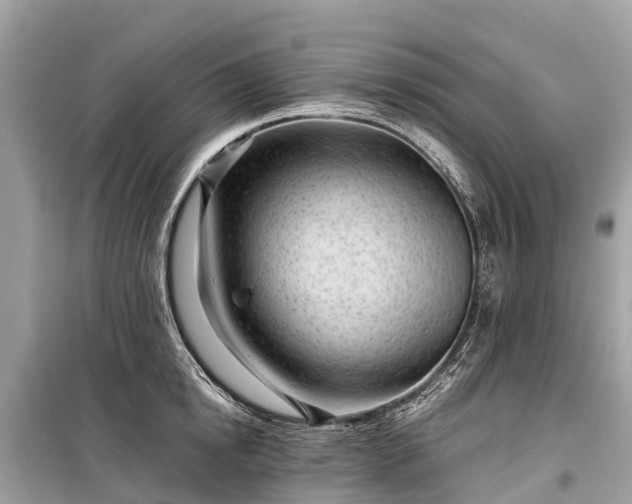 X0000099440854200805161132