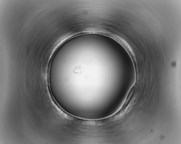 X0000099440855200805161132