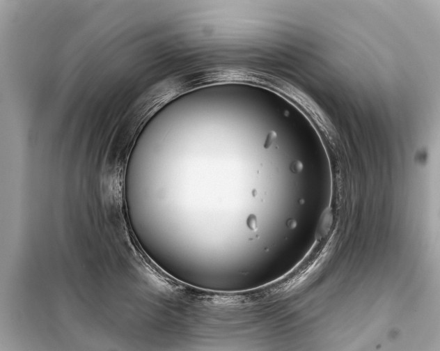 X0000099440857200805161132