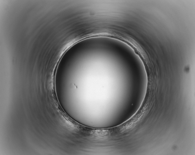 X0000099440858200805161132