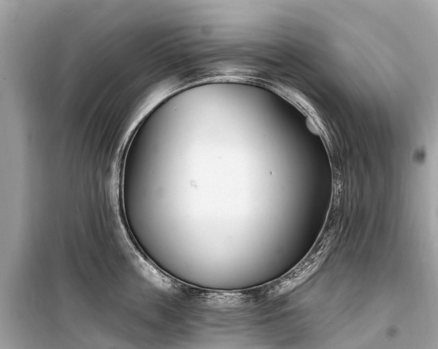 X0000099440859200805161132