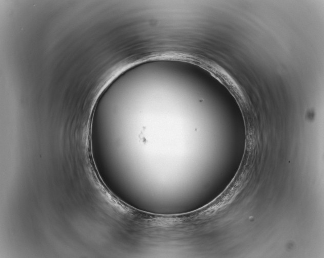 X0000099440860200805161132