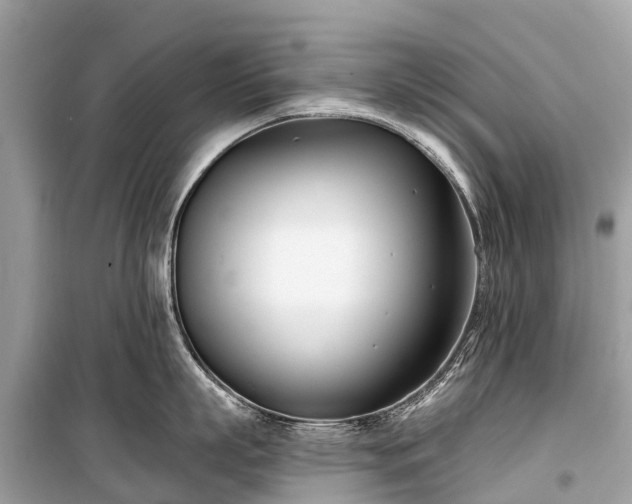 X0000099440863200805161132