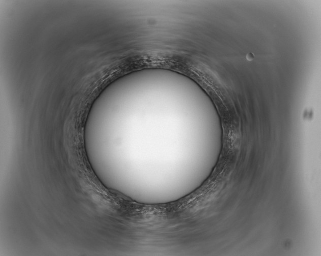 X0000099440865200805161131