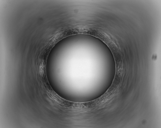 X0000099440866200805161131
