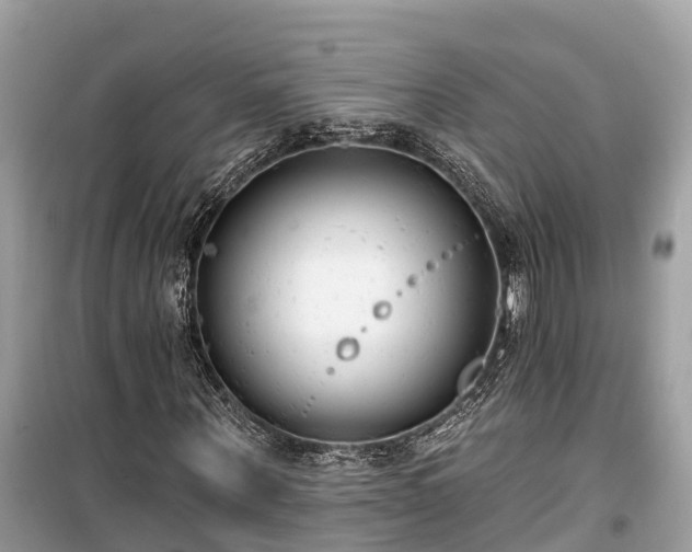 X0000099440867200805161131