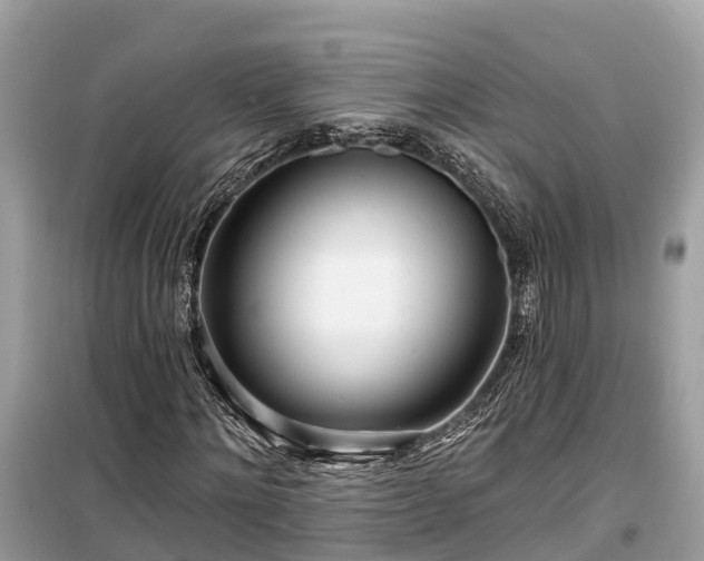 X0000099440868200805161131