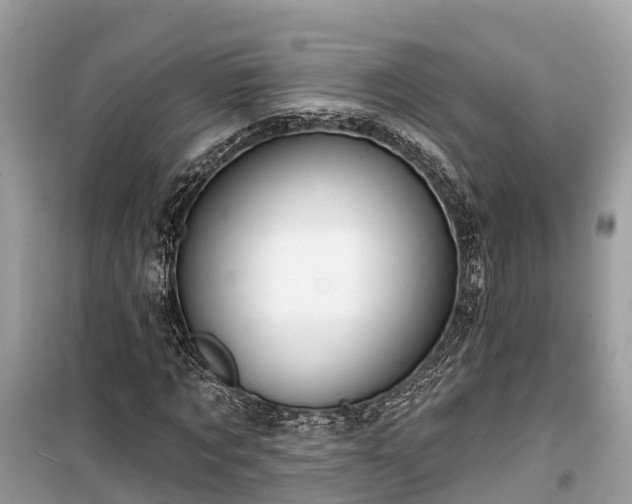 X0000099440869200805161131