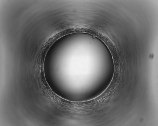 X0000099440870200805161131