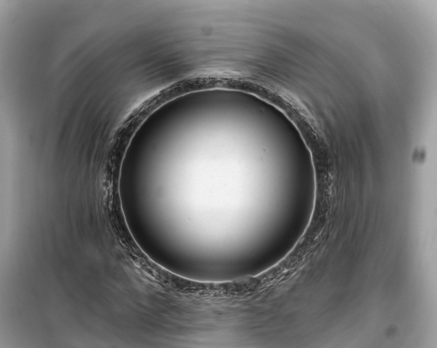 X0000099440872200805161131