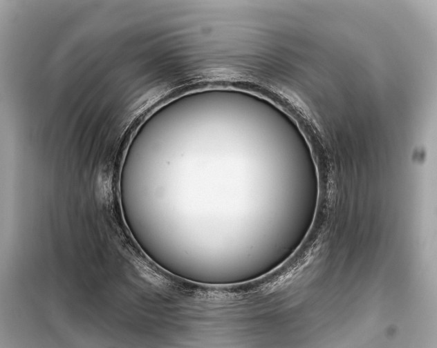 X0000099440873200805161131
