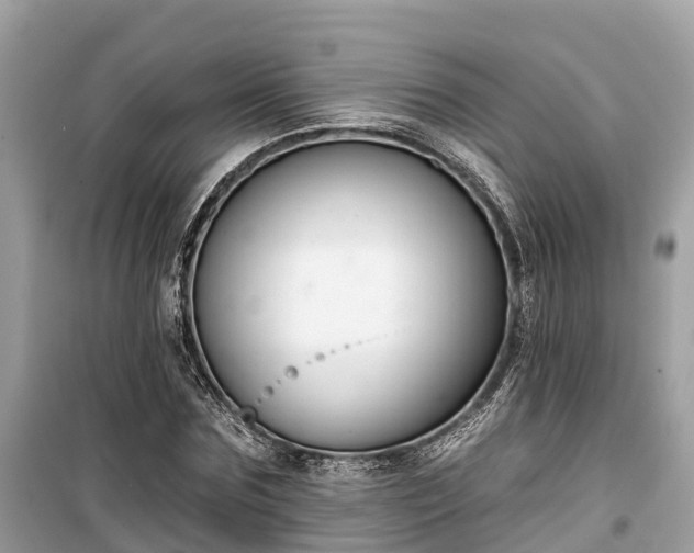 X0000099440875200805161131