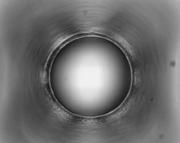 X0000099440876200805161131