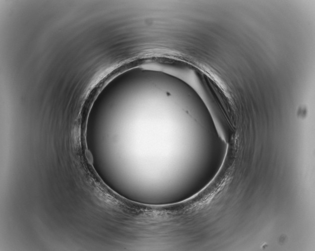 X0000099440877200805161131