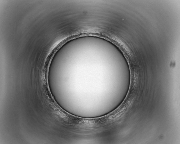X0000099440878200805161131