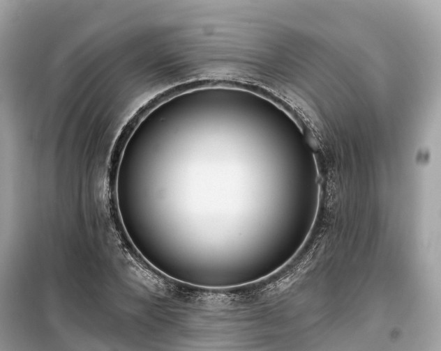 X0000099440880200805161131