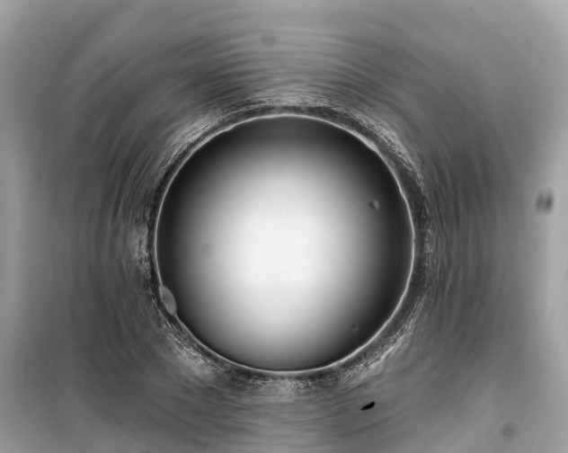 X0000099440881200805161131