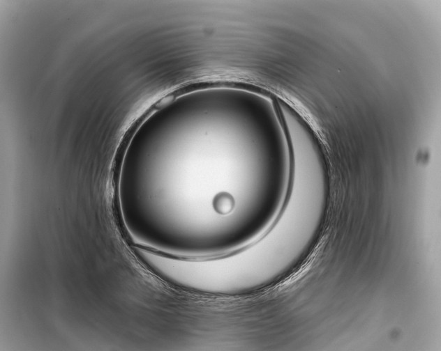 X0000099440885200805161131