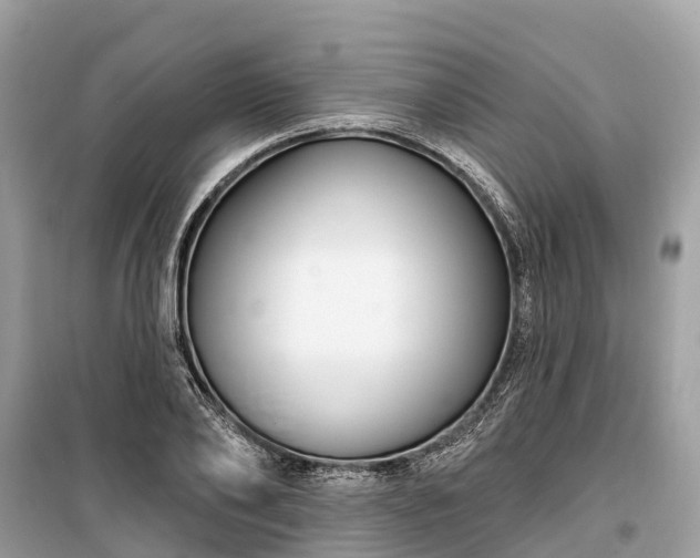X0000099440886200805161131