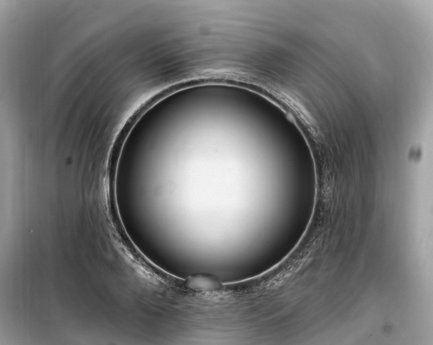 X0000099440888200805161131